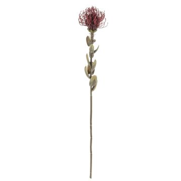 Kunstblume Nadelkissen Protea URMINE, Trockenoptik, burgunderrot, 60cm