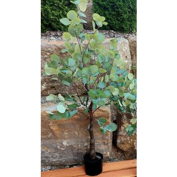 Plastik Eukalyptus Baum WISGARD, Kunststamm, grün-grau, 180cm