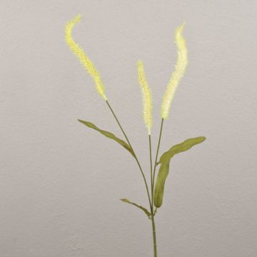 Deko Graszweig Liriope JELIKANTA mit Rispen, creme-grün, 60cm