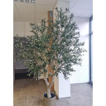 Künstlicher Olivenbaum MALACHI mit Früchten, Kunststamm, Dekotopf, 250cm