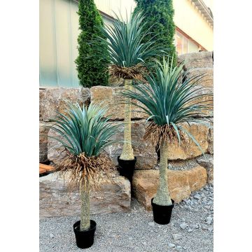 Künstliche Yucca Rostrata HARDIN, Dekotopf, 120cm