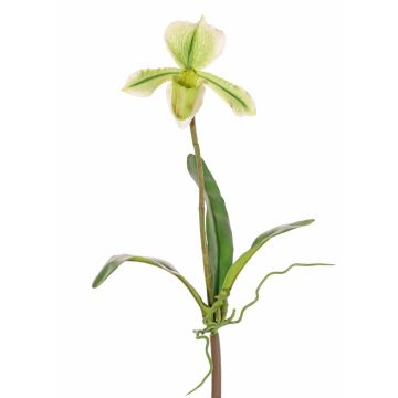 Kunst Paphiopedilum Orchidee VELANA, Steckstab, grün-weiß, 40cm