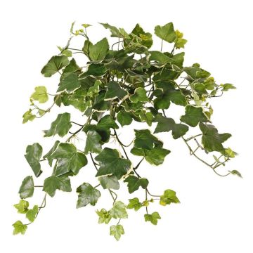 Künstlicher Efeu Hänger ARJANA, Steckstab, crossdoor, grün-weiß, 50cm