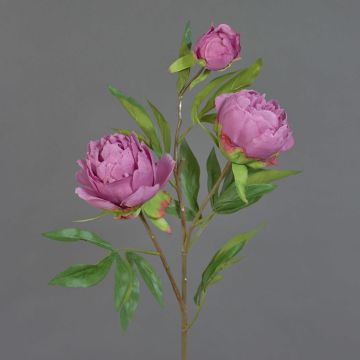 Pfingstrosen Zweig künstlich MANJA, violett, 70cm, Ø8-10cm