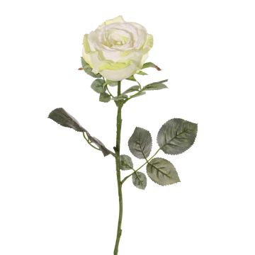 Textil Rose HUSA, weiß-grün, 75cm, Ø10cm