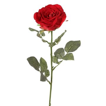 Textil Rose HUSA, rot, 75cm, Ø10cm