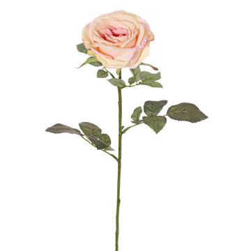 Textil Rose HUSA, rosa-creme, 75cm, Ø10cm