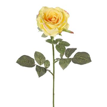 Textil Rose HUSA, gelb, 75cm, Ø10cm