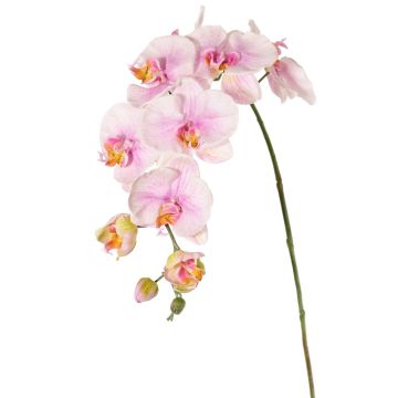 Dekozweig Phalaenopsis Orchidee WESA, rosa-weiß, 100cm