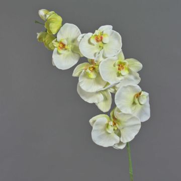 Dekozweig Phalaenopsis Orchidee WESA, weiß-grün, 90cm, Ø11-12,5cm