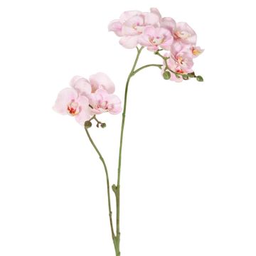 Kunstblumenzweig Phalaenopsis Orchidee VILLANI, rosa-weiß, 60cm, Ø3,5-5cm