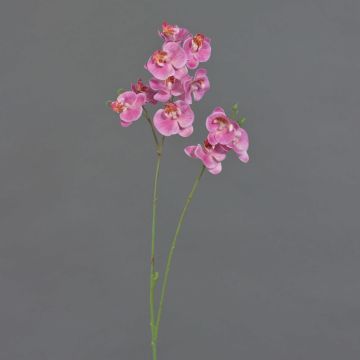 Kunstblumenzweig Phalaenopsis Orchidee VILLANI, rosa-pink, 60cm, Ø3,5-5cm