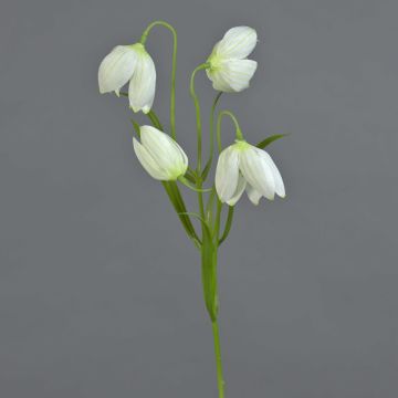 Künstliche Schachbrettblume SANEM, weiß, 45cm, Ø3cm