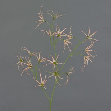 Künstlicher Tweedia solanoides Zweig TOSAR, rosa-grün, 70cm, Ø6-9cm