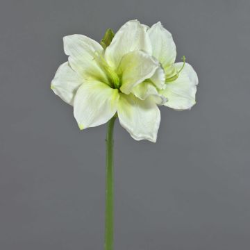 Amaryllis künstlich NARWELA, weiß-grün, 70cm, Ø10-13cm