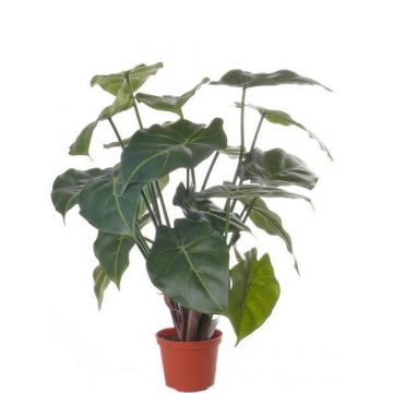 Kunstpflanze Syngonium PERAMI, grün, 45cm