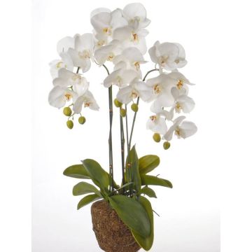 Kunstorchidee Phalaenopsis SATRIA im Moosball, weiß, 75cm