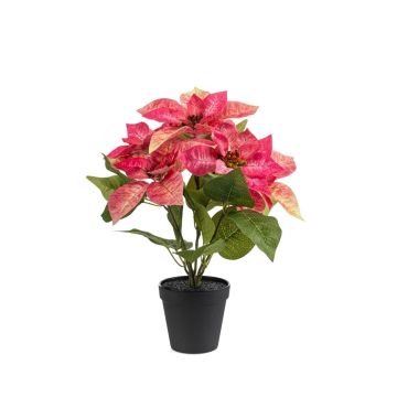 Künstlicher Weihnachtsstern GRULEN im Dekotopf, rosa, 40cm