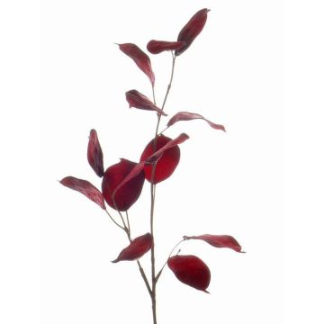 Kunstpflanze Lunaria Zweig JEPPE, dunkelrot, 60cm