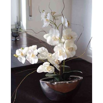 Kunststoff Phalaenopsis Orchidee ANALIE, Keramiktopf, creme, 50cm