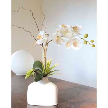 Kunstorchidee Phalaenopsis TIALDA, Sukkulenten, Keramikvase, weiß, 50cm
