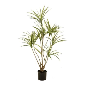 Kunstbaum Dracaena marginata SHALLU, Kunststämme, grün, 120cm