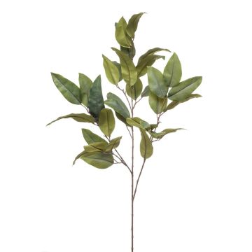 Künstlicher Eukalyptuszweig BELUNI, grün, 125cm
