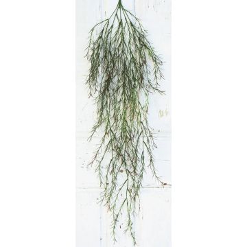 Künstlicher Rhipsalis DACIAN auf Steckstab, grün, 120cm