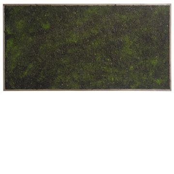 Deko Hecke / Matte Moos im Rahmen HONAM, braun-grün, 100x50cm