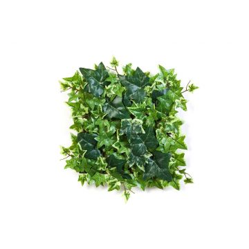 Kunstpflanze Efeu Hecke / Matte LUKA, grün-weiß, 30x30cm