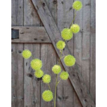 Kunst Ballon-Wolfsmilch Zweig ELAENA, Früchte, grün, 105cm