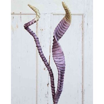 Kunst Aloe aristata Blätter EMILIUS, violett-grün, 95cm