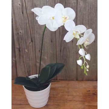 Kunst Phalaenopsis Orchidee SAHRA, Dekotopf, weiß, 70cm