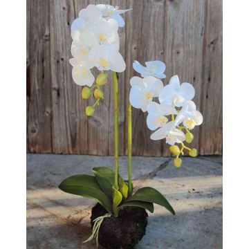 Kunst Phalaenopsis Orchidee VEENA im Erdball, weiß, 60cm