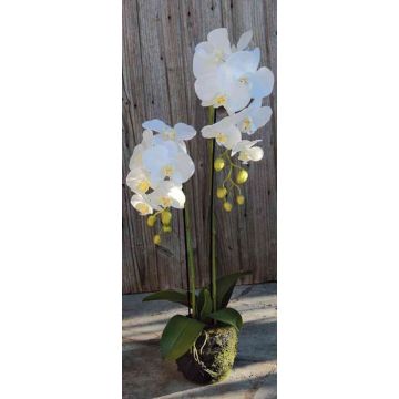 Kunst Phalaenopsis Orchidee VEENA im Erdball, weiß, 80cm