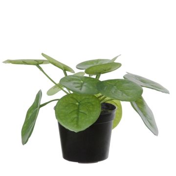 Kunstpflanze Glückstaler BIRCAN, grün, 15cm