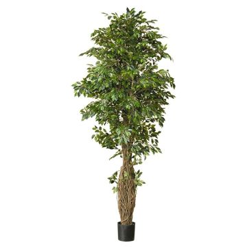 Kunstpflanze Ficus Benjamini ALMINKO, Naturstamm, grün, 330cm