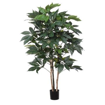 Deko Pflanze Schefflera BOGDANA, Naturstamm, grün, 160cm