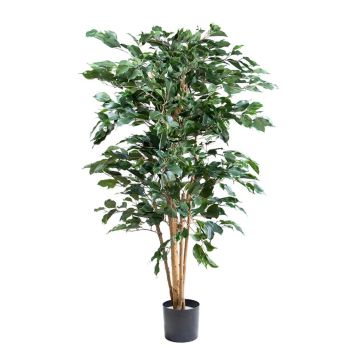 Kunstpflanze Birkenfeige AKAHI, Naturstamm, grün, 150cm