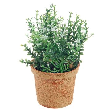 Deko Pflanze Thymian SUNNIVA mit Blüten, Dekotopf, grün-weiß, 13cm