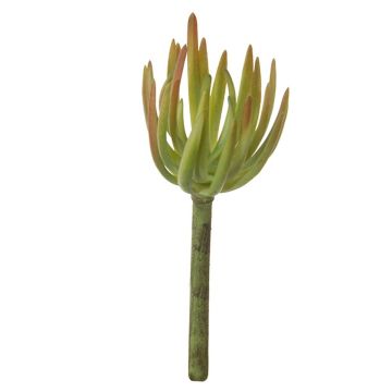 Deko Sedum pachyphyllum KAIKALE, Steckstab, grün-rot, 21cm, Ø7cm