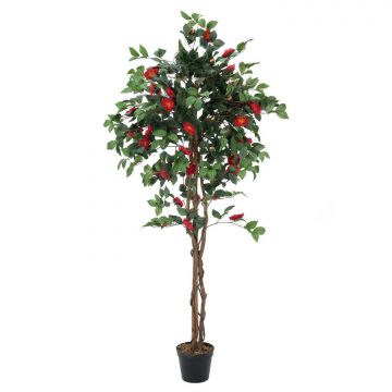 Plastik Kamelienbaum COSTIA, Echtstämme, mit Blüten, rot, 180cm