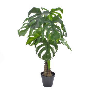 Kunst Philodendron Monstera Deliciosa FABIUS, crossdoor, 90cm