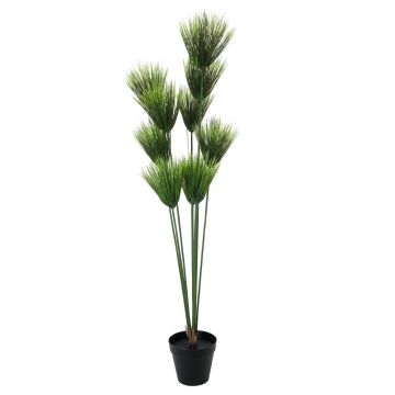 Plastik Papyruspflanze BANOU, grün, 150cm