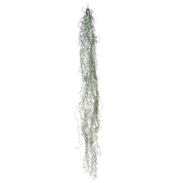Deko Sukkulente Tillandsia Usneoides MIRIEL, grün, 130cm