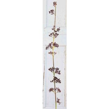 Künstlicher Scheinbeeren Zweig TYSON, Früchte, braun, 120cm