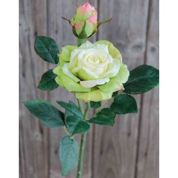 Künstliche Rose SINJE, creme-grün, 35cm, Ø9cm