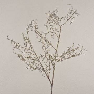 Künstlicher Haselnusszweig YAURELIS, gefroren, braun-weiß, 125cm