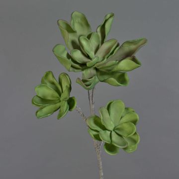 Künstlicher Echeveria tinkerbell Zweig Kunststoffschaum ORALY, grün, 95cm, Ø15-27cm