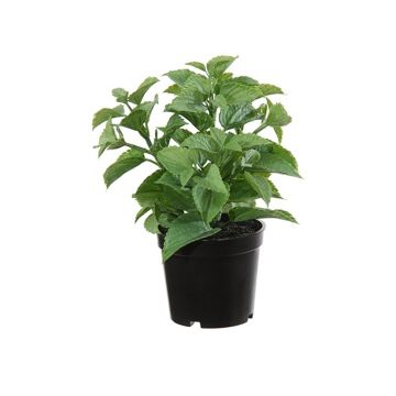 Plastik Pflanze Minze TSUKI, grün, 24cm